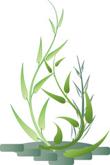 Botanical leaf aesthetic foliage plant for decorative abstract background