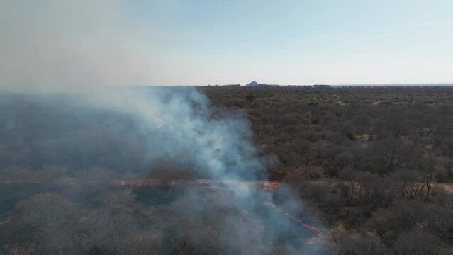 bush wildfire Gaborone Botswana, near a residential area in Gaborone, burning the dry grass