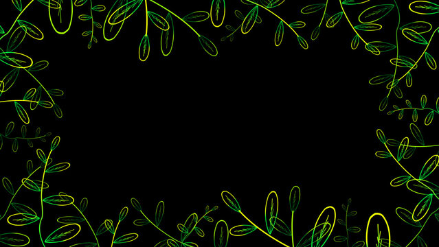 young glow oblanceolate leaves green  yellow full border and lot on the black screen