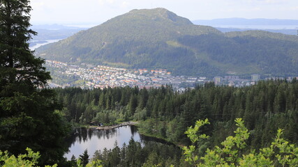 paysages norvégien au dessus de Bergen