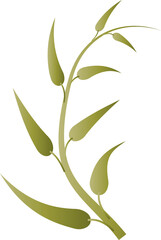 Fototapeta premium leaf foliage plant botanical for decorative abstract background