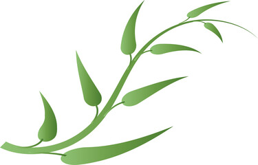 leaf foliage plant botanical for decorative abstract background