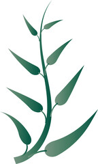 leaf foliage plant botanical for decorative abstract background