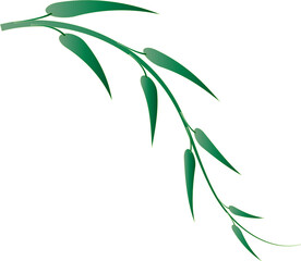 leaf foliage plant botanical for decorative abstract background