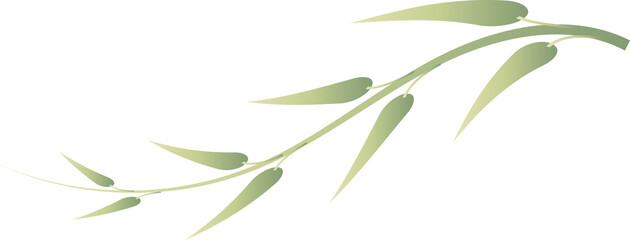 Obraz premium leaf foliage plant botanical for decorative abstract background