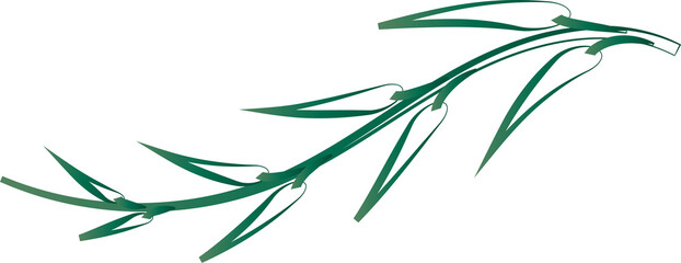 leaf foliage plant botanical for decorative abstract background