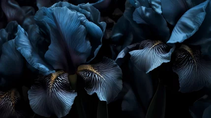 Foto op Canvas close up of a bunch of flowers © Tim Kerkmann