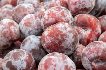 The new harvest ripe big plums sold at local city market