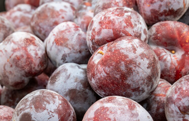 The new harvest ripe big plums sold at local city market