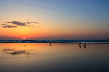 美しい日の出と白浜の波打ち際の反射　
静岡県下田市白浜
