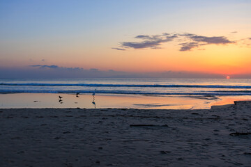 美しい日の出と白浜の波打ち際の反射と鳥のシルエット　
静岡県下田市白浜
