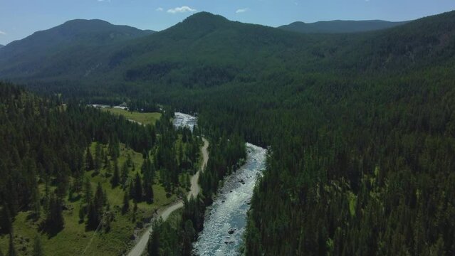 Aerial view of a green mountain landscape where a river flows from the mountains, and a beautiful coniferous forest is spread. High quality 4k footage