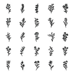 Plant line icon vector hand drawn set 