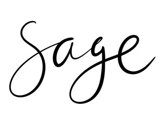 design element lettering calligraphy letters black color brush hand style for logo label print packaging kitchen menu sticker spice word sage