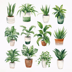 set of plants background watercolour 