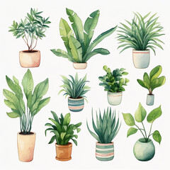 set of plants seamless background 