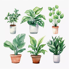 watercolor vector house plant background 