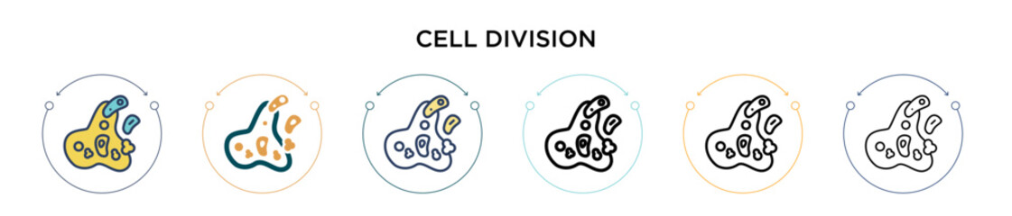 Cell division icon in filled, thin line, outline and stroke style. Vector illustration of two colored and black cell division vector icons designs can be used for mobile, ui, web