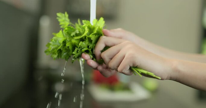 Women's hands wash a bunch of green parsley under tap water. slow motion video