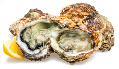 Opened and closed raw oysters isolated on white background with lemon slice. © Екатерина Иванова