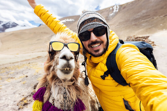 Happy young adult traveler taking selfie with cute peruvian llama in Peru. Funny self portrait of joyful smiling tourist hiker enjoying vacation in South America. Travel and holidays concept