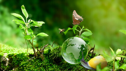 Glass globe earth ball with Europe, africa and asia - environment, ecology and sustainable concept with animals in the forest - bee, snail and butterfly. Animal protection. ESG. nature conservation.