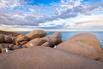 Dramatic view of the rocky coast with seagulls over the Fleurieu Peninsula, South Australia