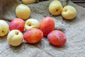 ripe juicy organic red plums and yellow nectarines on sackcloth close up