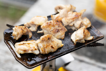 山でキャンプで調理するミニ鉄板焼肉【グリルチキン】