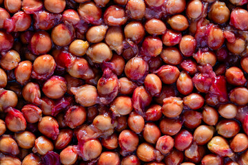 Lots of sour cherry pits as a background closeup. Texture of dried cherry kernels. Top view