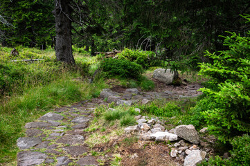 Sudetes, Giant Mountains, Śnieżne Kotły, Schneegruben, Karkonosze, Sudety, Karkonosze, Szrenica, Dolny Slask