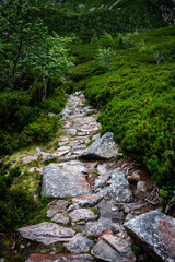 Sudetes, Giant Mountains, Śnieżne Kotły, Schneegruben, Karkonosze, Sudety, Karkonosze, Szrenica, Dolny Slask