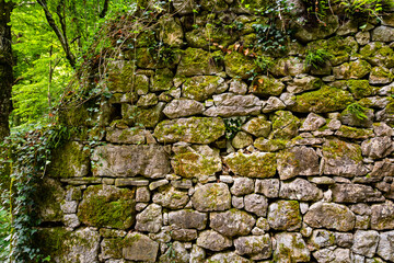 Brick wall of an ancient forgotten mill in a forest in Reka river valley in Slovenia overgrown with ivy, moss and green vegetation. Lost place background near Grad Školj castle and Škoflje village.
