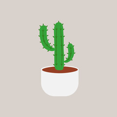 illustration cactus plant with white pot