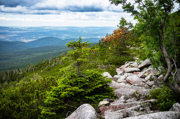 Sudetes, Giant Mountains, Śnieżne Kotły, Schneegruben, Karkonosze, Sudety, Karkonosze, Szrenica, Dolny Slask