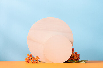 Wooden cylindrical podiums on an orange and blue background with branches of ripe rowan. Podium,...