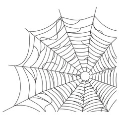 Halloween Spiderweb Illustration