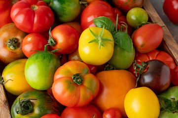 A mix of ripe multi-colored organic tomatoes. Healthy food.