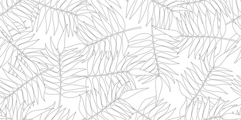 outline fern leaves seamless pattern © Sutana