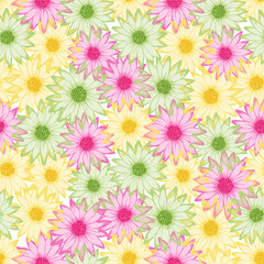 Chrysanthemum bright summer endless pattern. Rudbeckia daisy blossom