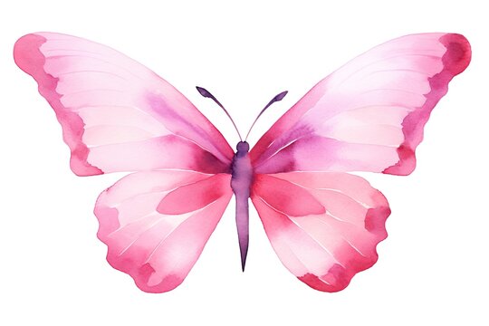 Whimsical Watercolor Butterflies: Delightful Set