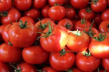 healthy food big red tomatoes