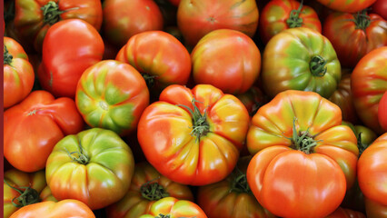 healthy food big red tomatoes