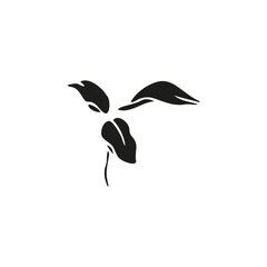 Lily flower hand drawn design,isolate on white background