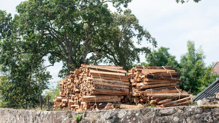 Montón de madera cortada y apilada para leña © Darío Peña