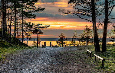 Fototapeta na wymiar Pine forest, wooden footpath and sandy shore of the Baltic Sea, concept of ecologically clean tourism in Baltic region of Europe