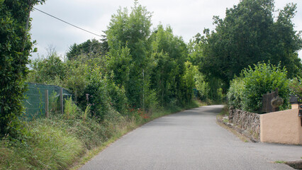 Curva en camino rural