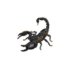 scorpion cartoon vector