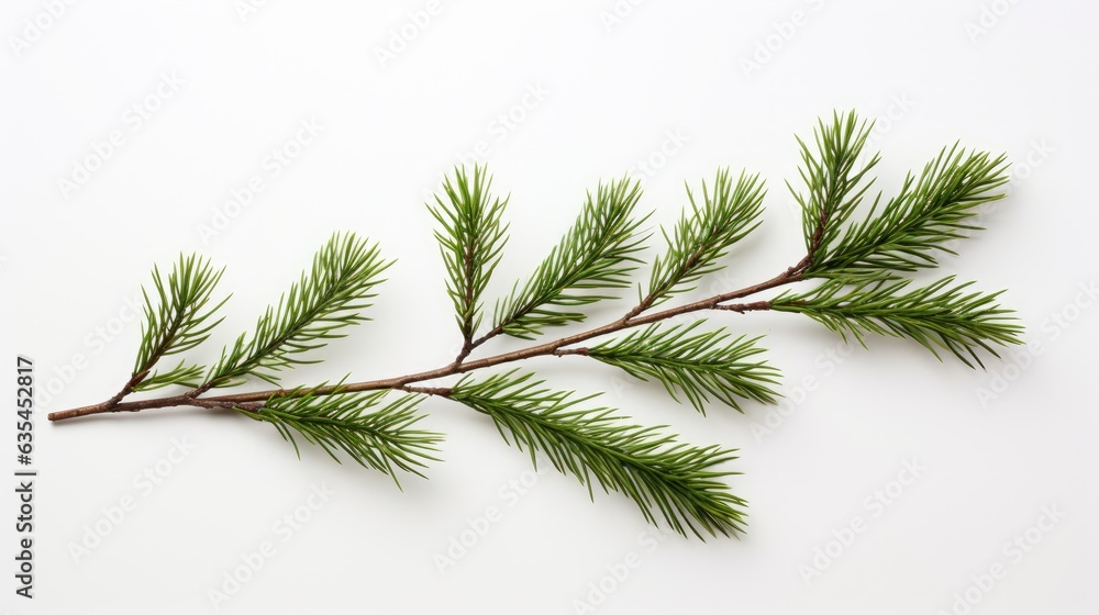Poster pine branch isolated on white background. fir tree branch isolated on white created with generative 