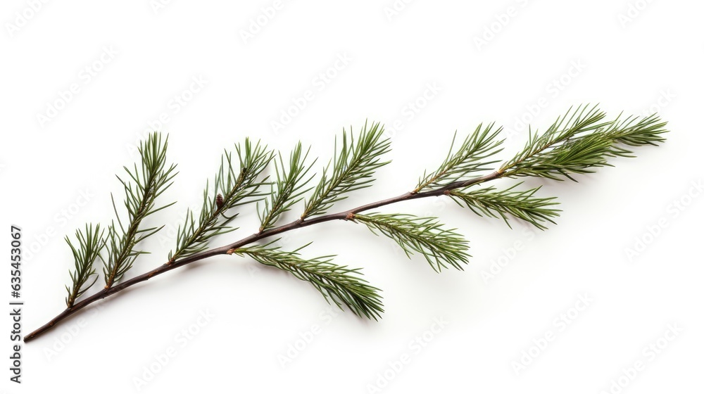 Poster pine branch isolated on white background. fir tree branch isolated on white created with generative 